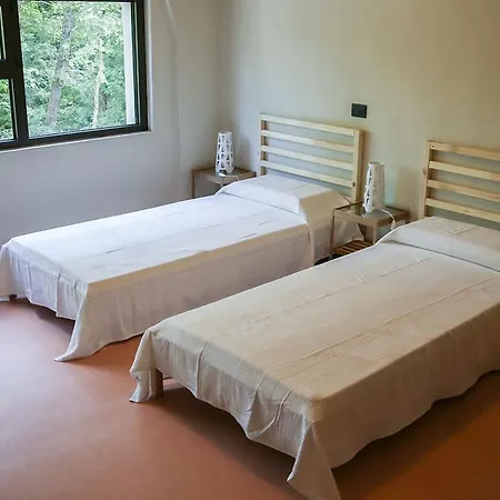 Oasi