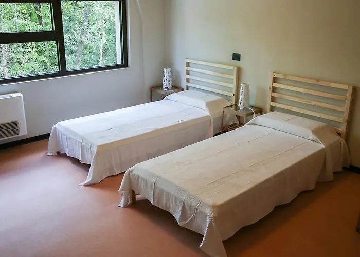 Oasi